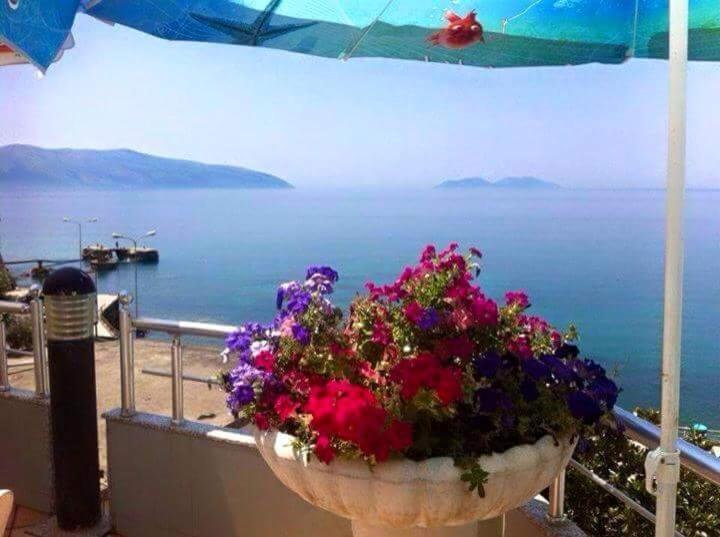 Vlora Apartments Appartement